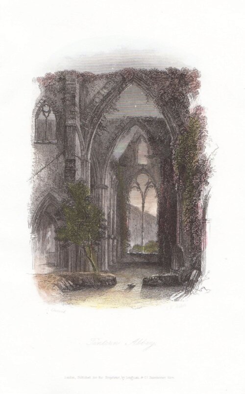 Tintern Abbey.