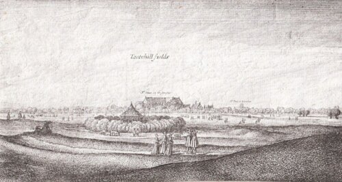 Tootehill Fields.