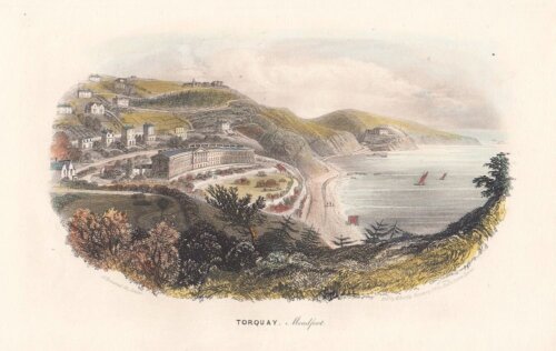 Torquay, Meadfoot.  (antique print)