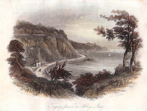 Torquay from Tor Abbey Lawn