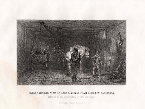 Underground View of Crane Curf & Tram & Rolley Carriages  Previous to the introduction of Tubs and Cages