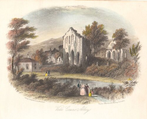 Vallle Crucis Abbey.  (antique print)