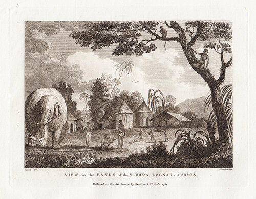 View on the Banks of the Sierra Leona in Africa