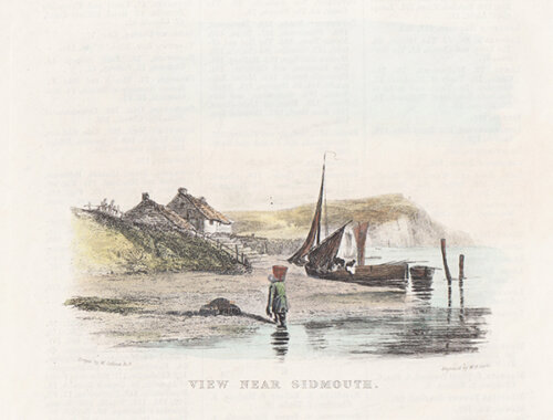View near Sidmouth 