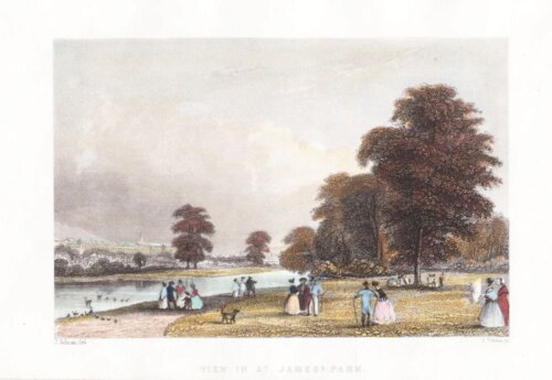 View in St. James's Park.
