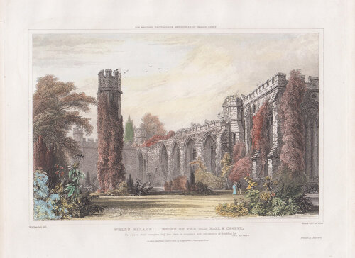 Wells Palace - Ruins of the Old Hall and Chapel.