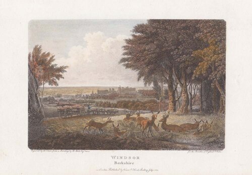 Windsor Berkshire 