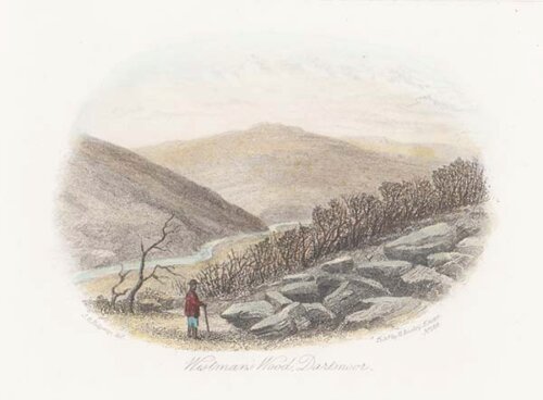 Wistman's Wood Dartmoor