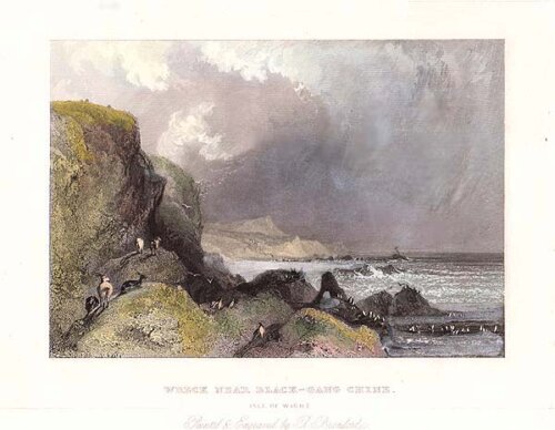 Wreck near Black-Gang Chine