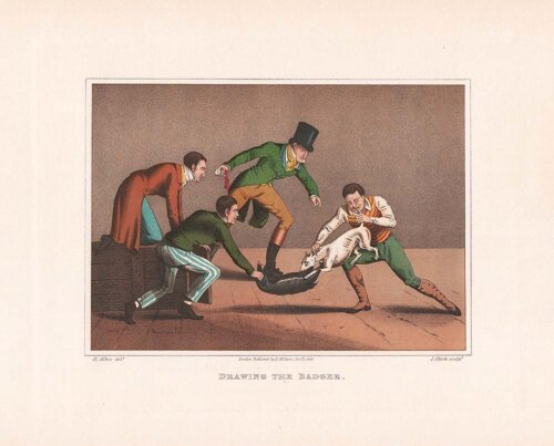 Drawing the Badger  -  Henry Alken