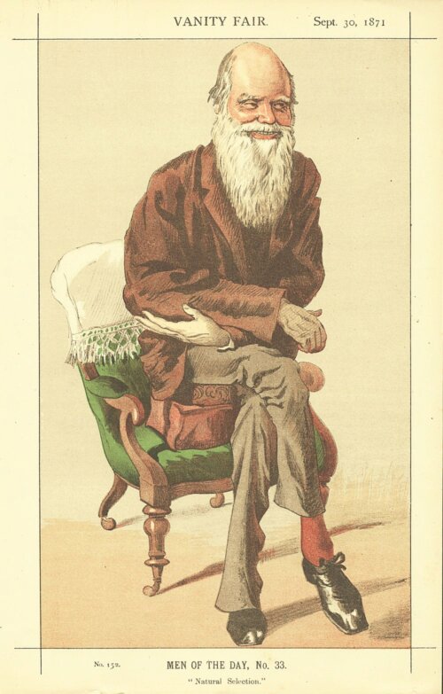 Charles Darwin   (antique print)