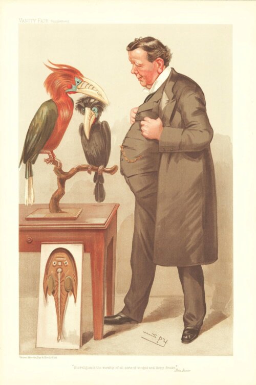 Sir Edwin Ray Lankester   (antique print)
