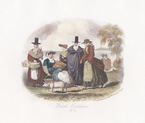 Welsh Costume.  No. 11.