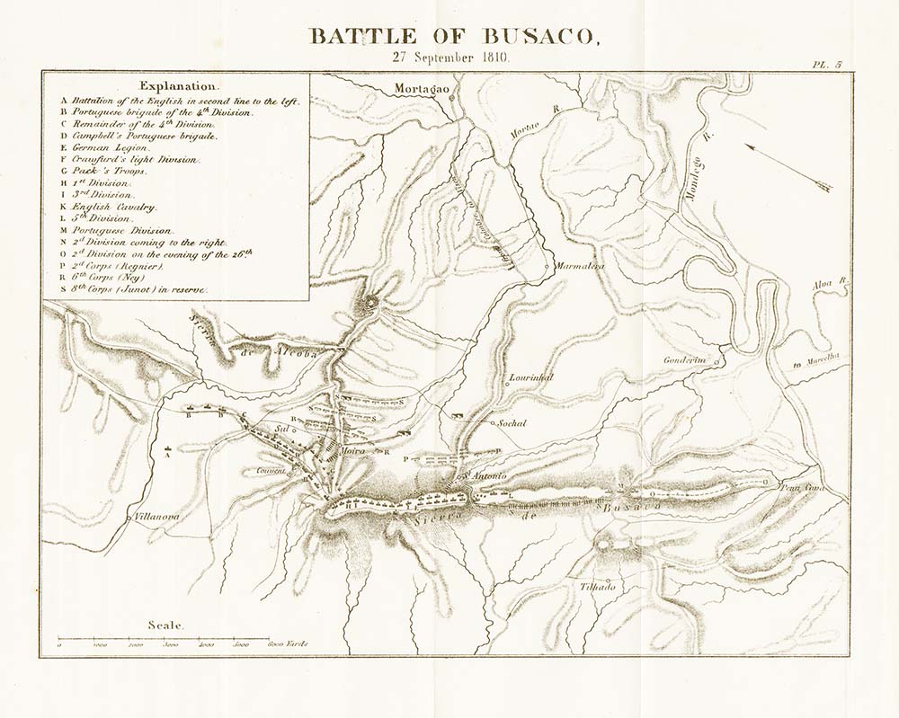 Battle of Busaco  27 September 1810