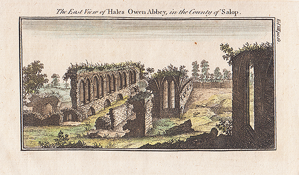 The East View of Hales Owen Abbey in the County of Salop 