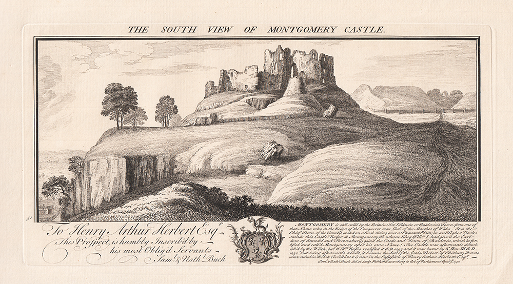 The South View of Montgomery Castle