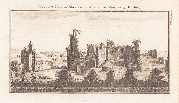 The South View of Sherborn Castle in the County of Dorset 