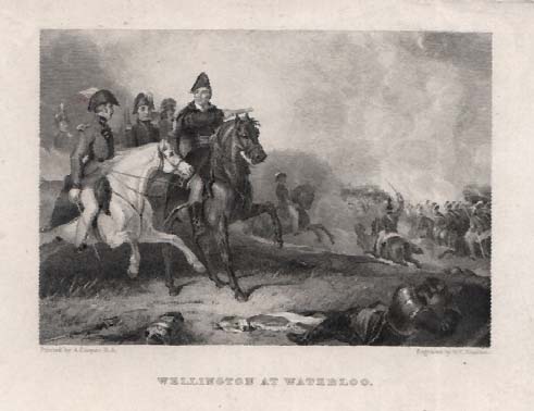 Wellington at Waterloo