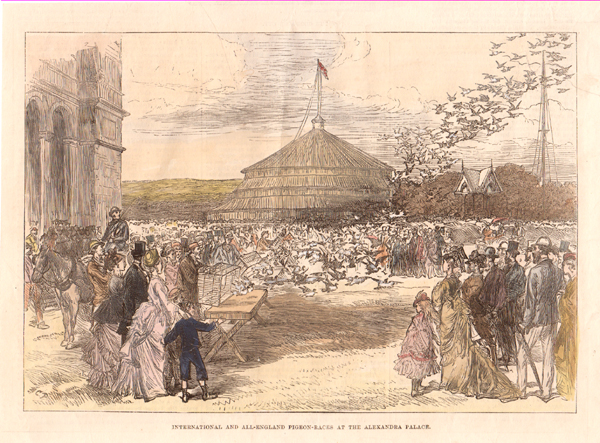 International and All-England Pigeon-Races at the Alexandra Palace