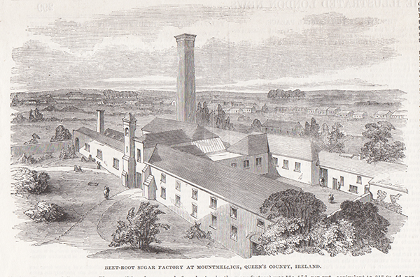 Beet - Root sugar factory at Mountmellick Queen's County 