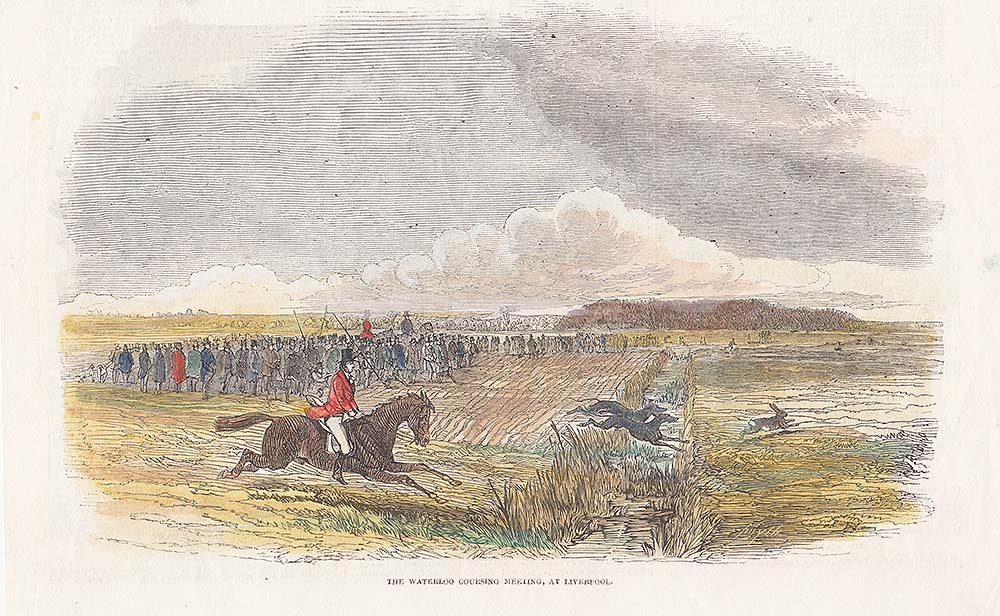 The Waterloo Coursing Meeting at Liverpool.