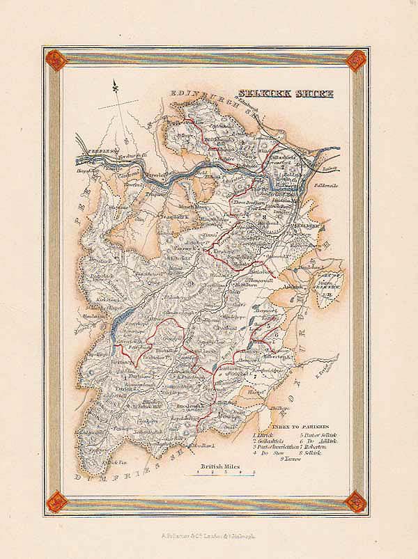 A Fullarton  -  Selkirk Shire