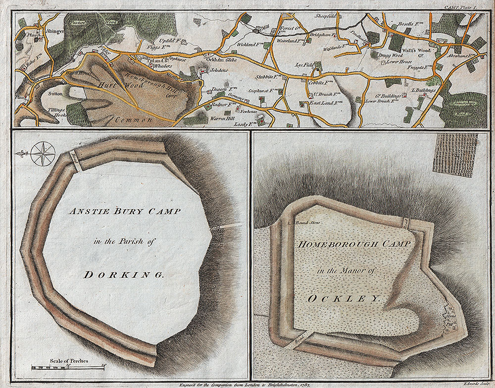 Anstie Bury Camp in the Parish of Dorking and Homeborough Camp in the Manor of Ockley