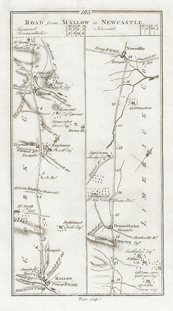 George Taylor and Andrew Skinner - Road from Mallow to Newcastle