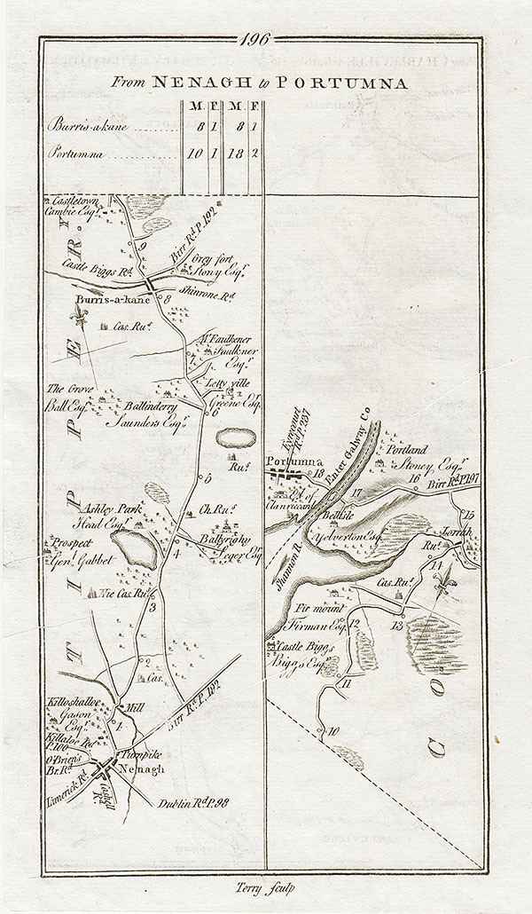 George Taylor and Andrew Skinner - The Road from Nenagh to Portumna