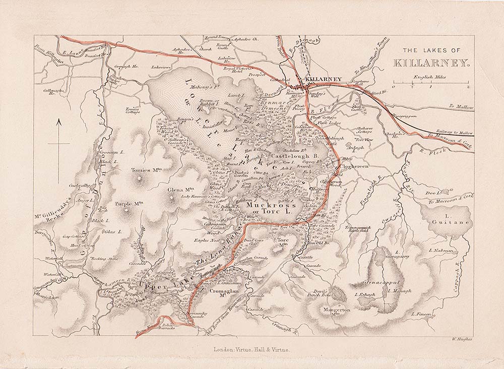 The Lakes of Killarney