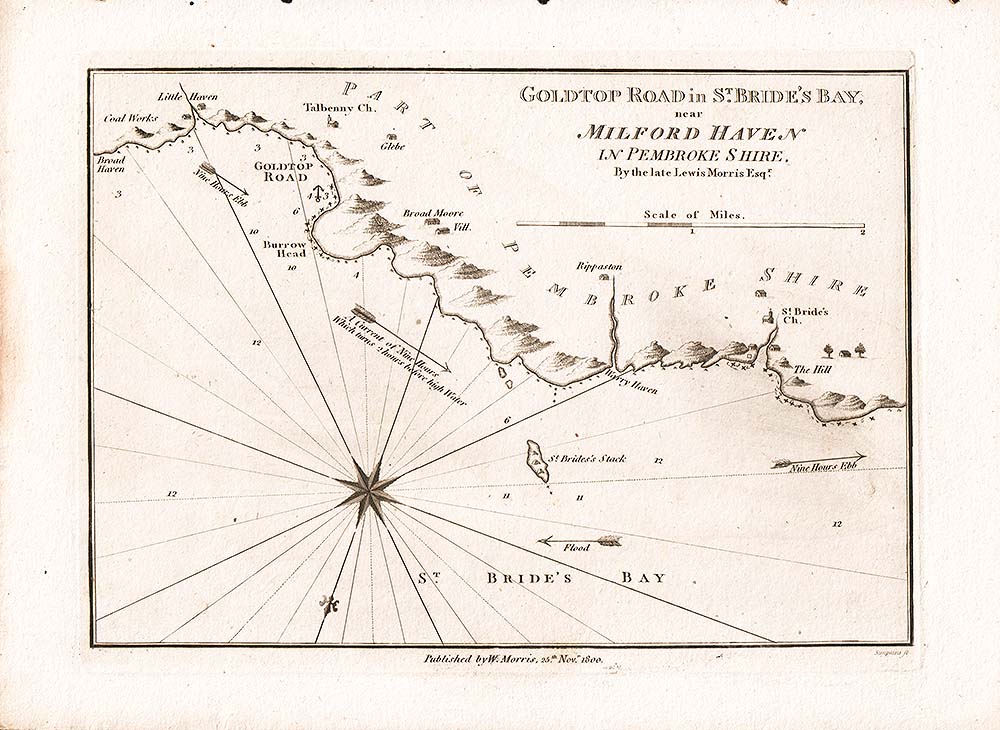 William Morris - Goldtop Road in St Bride's Bay near Milford Haven 