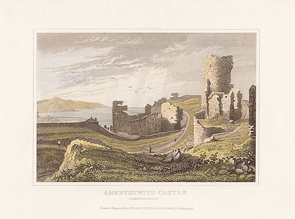 Aberystwyth Castle Cardiganshire 