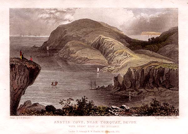 Anstis Cove near Torquay Devon