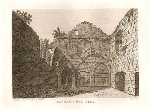 Balmaribock Abby