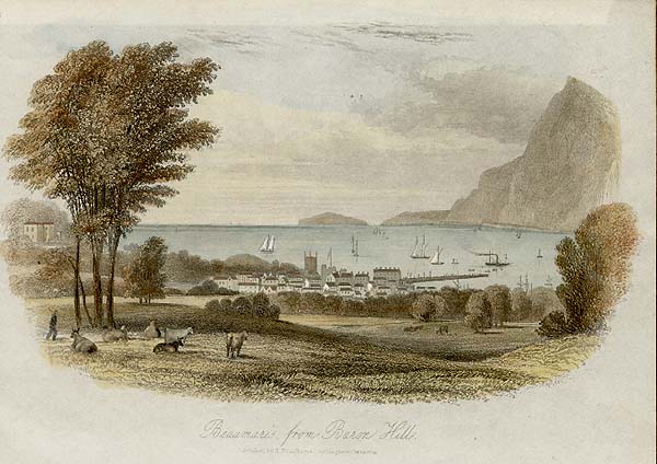 Beaumaris from Barron Hill