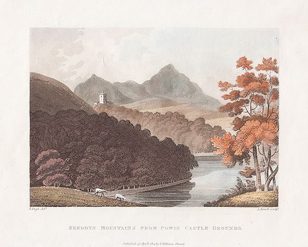 Breddyn Mountains from Powis Castle Grounds