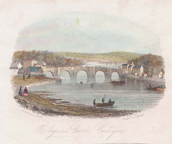 Bridge and Castle Cardigan