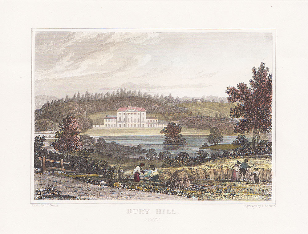 Bury Hill Surrey
