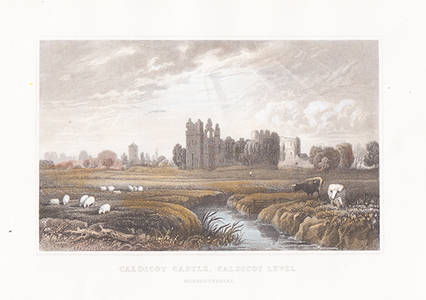Caldicot Castle Caldicot Level Monmouthshire