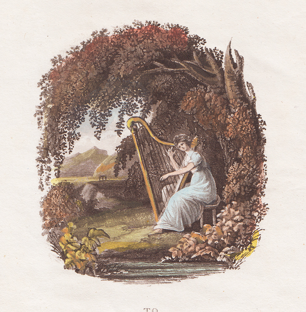Frontispiece to Cambria Depicta