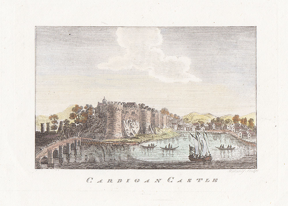 Cardigan Castle