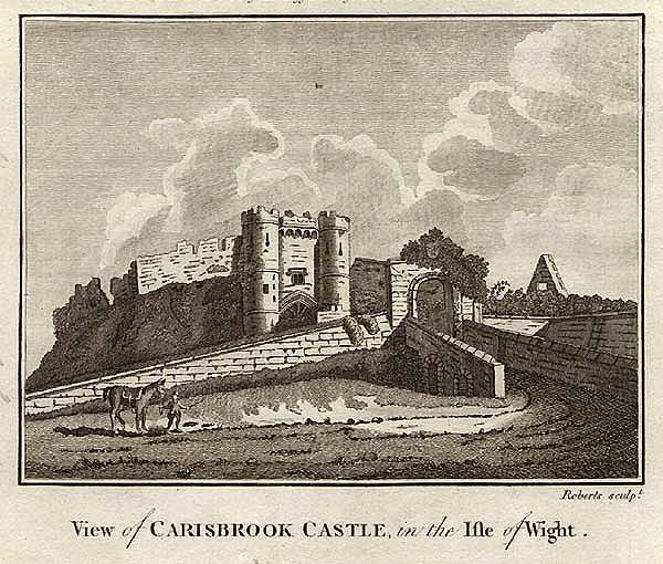 View of Carisbrook Castle