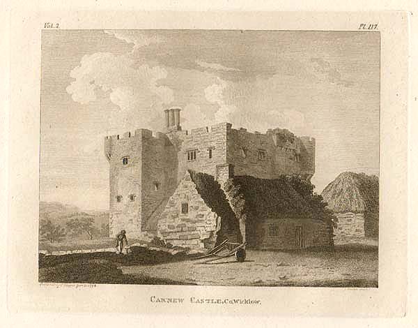 Carnew Castle