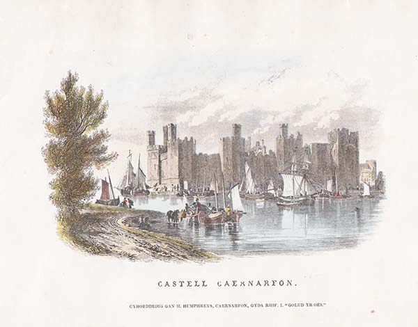 Castell Caernarvon Ref: