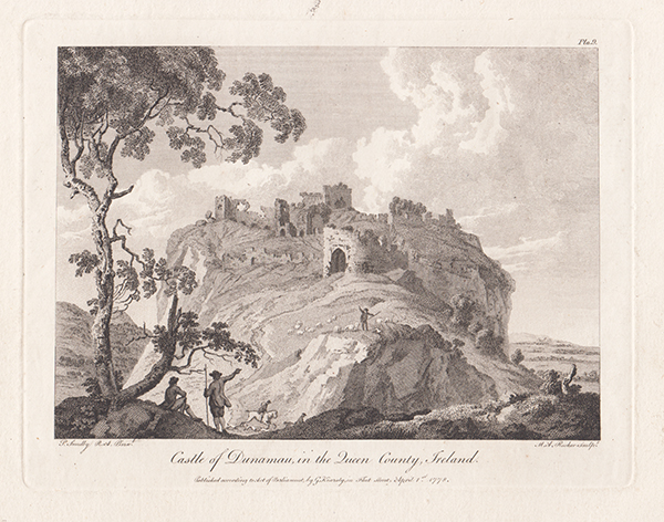 Castle of Dunamau in the Queen County 