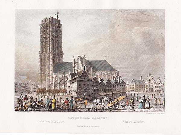 Cathedral Malines