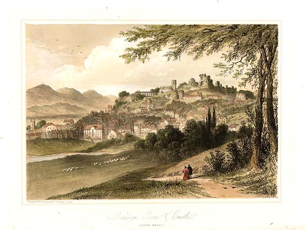 Denbigh Town & Castle