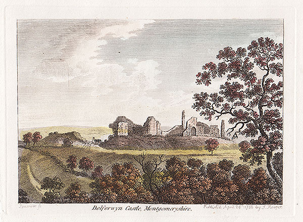 Dolforwyn Castle Montgomeryshire