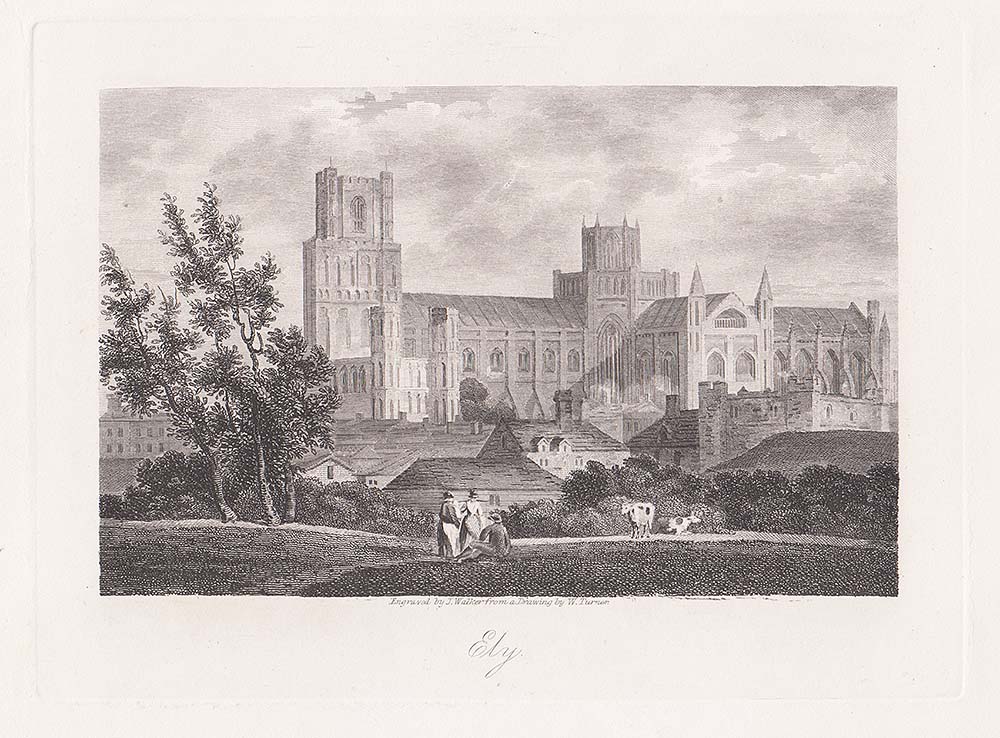 Ely. 