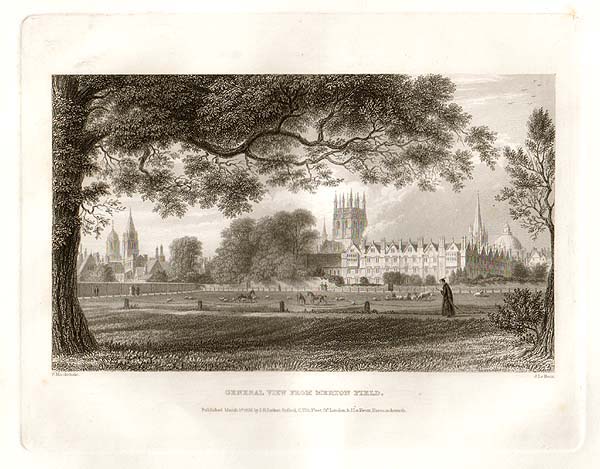 General view from Merton Field